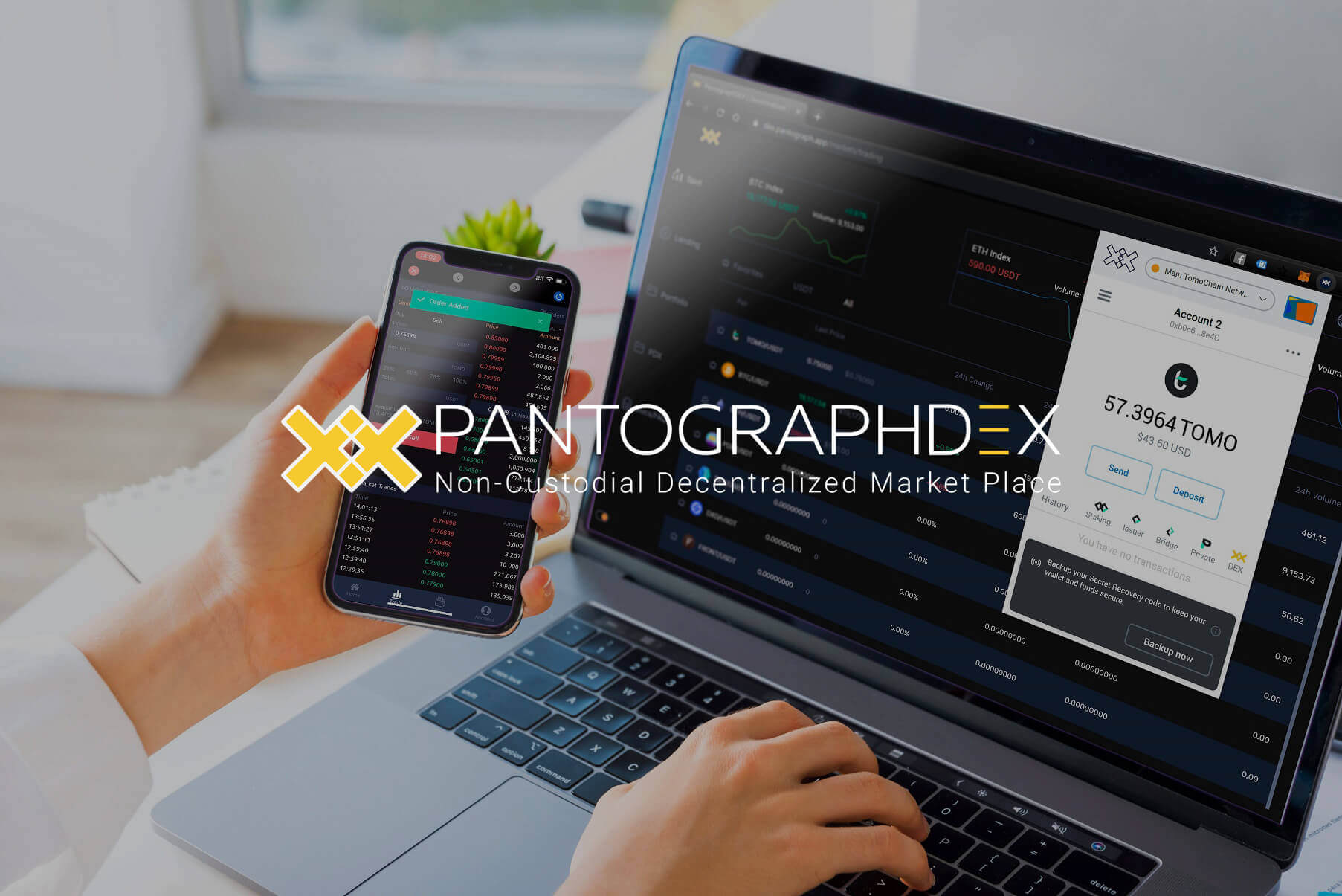 Pantograph DEX
