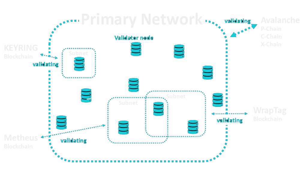 Avalanche Subnets Structure