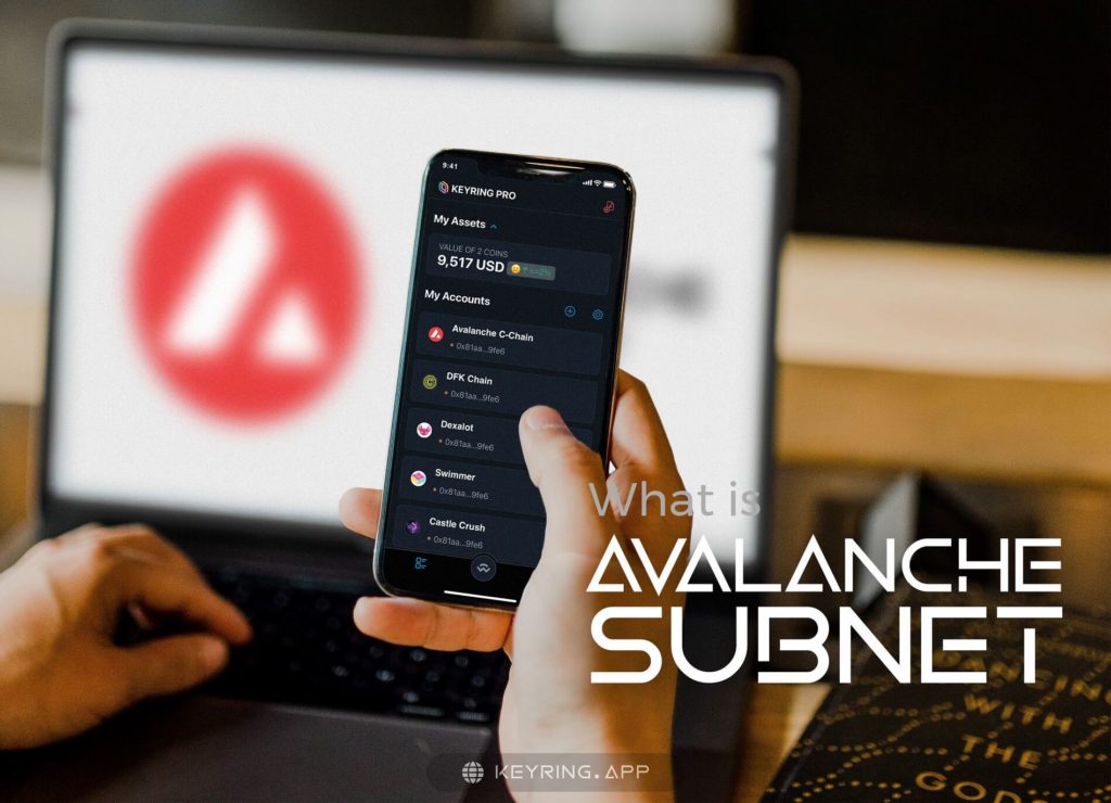 what is avalanche subnet