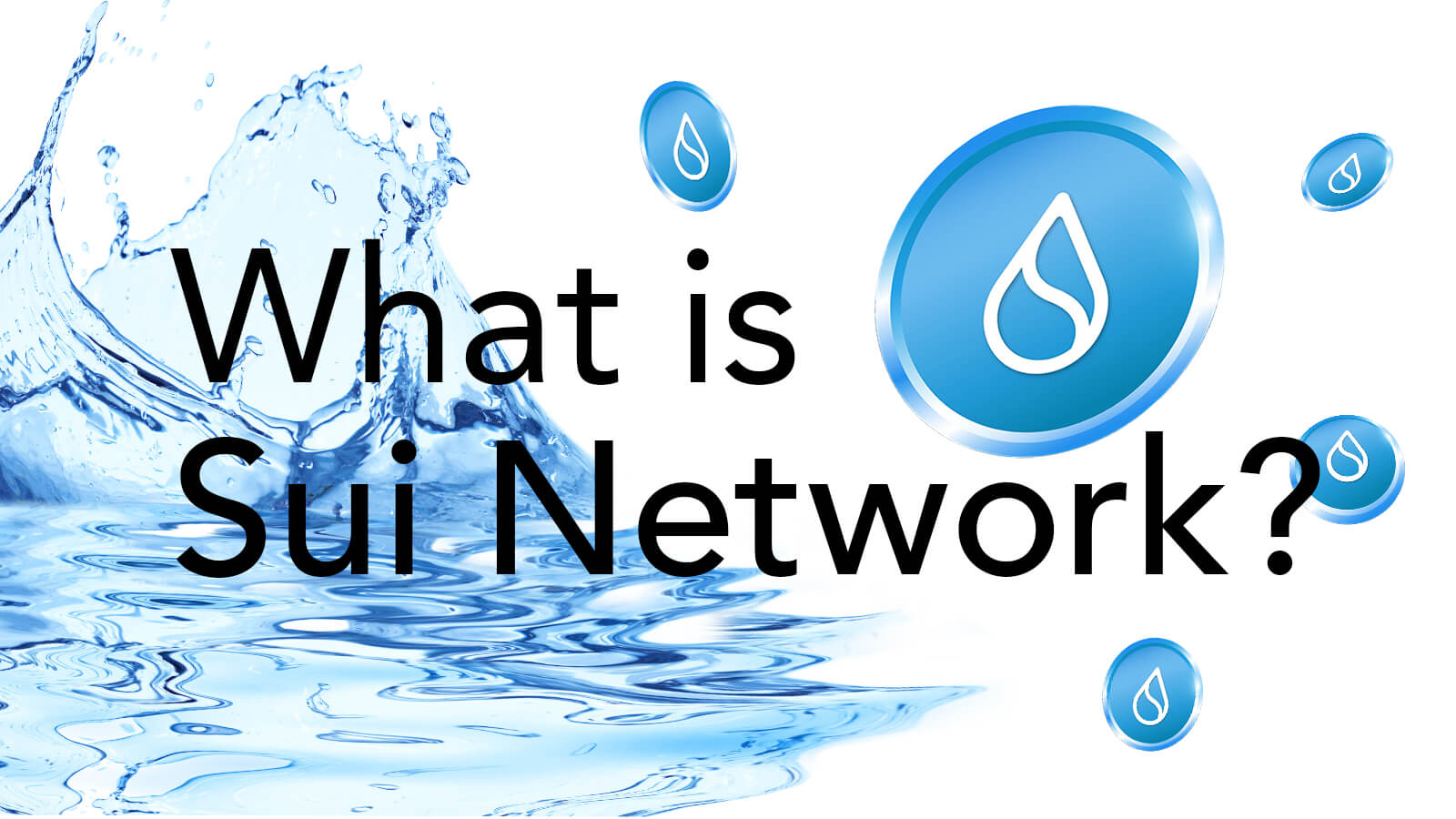 what is sui network?