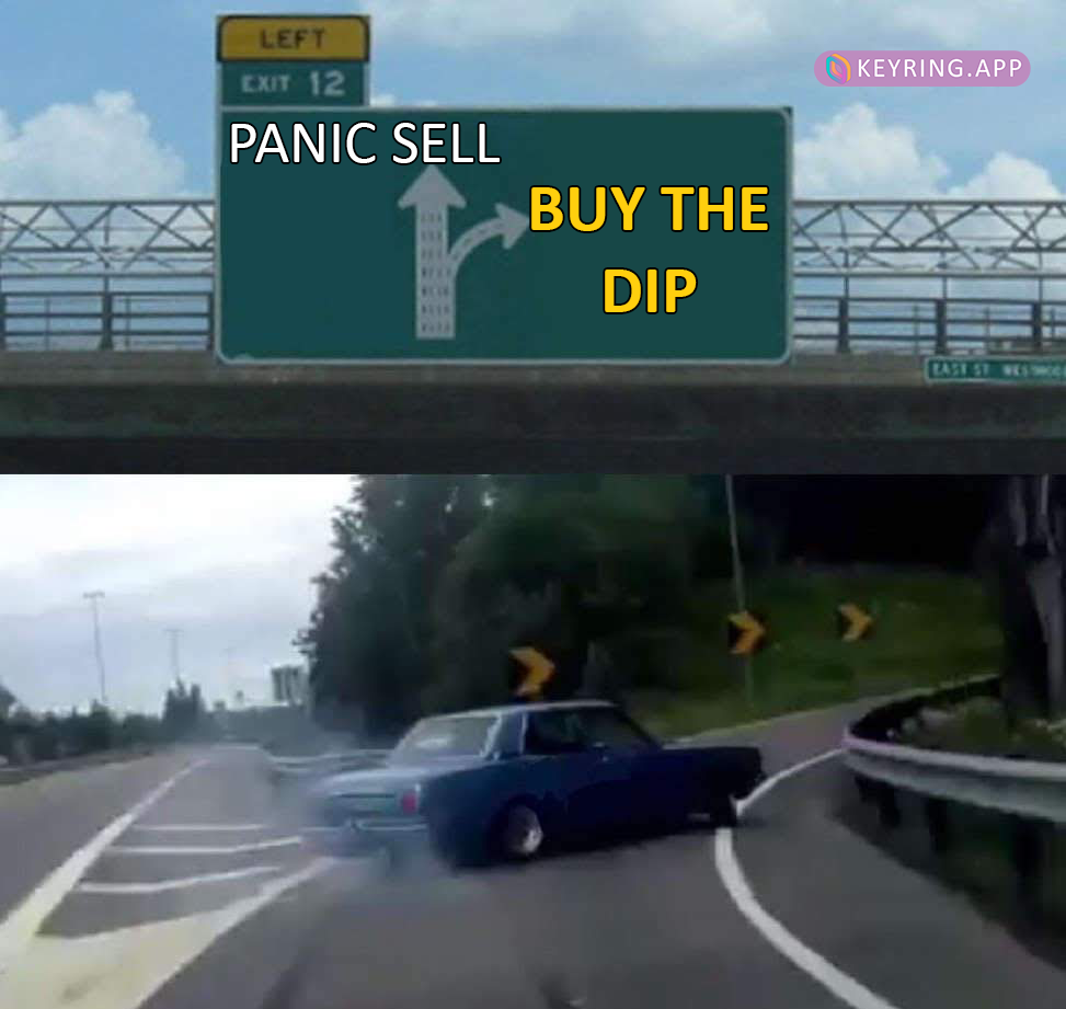 Should I buy bitcoin now meme buy the dip