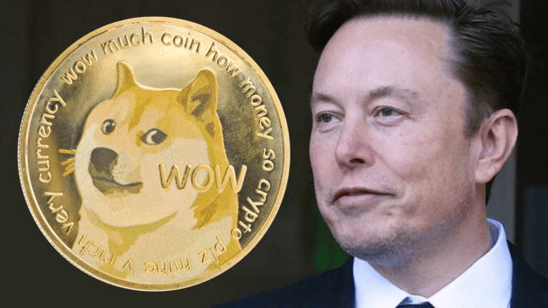 Bitcoin vs Dogecoin Is Bitcoin or Dogecoin a Safer Investment elonmusk doge