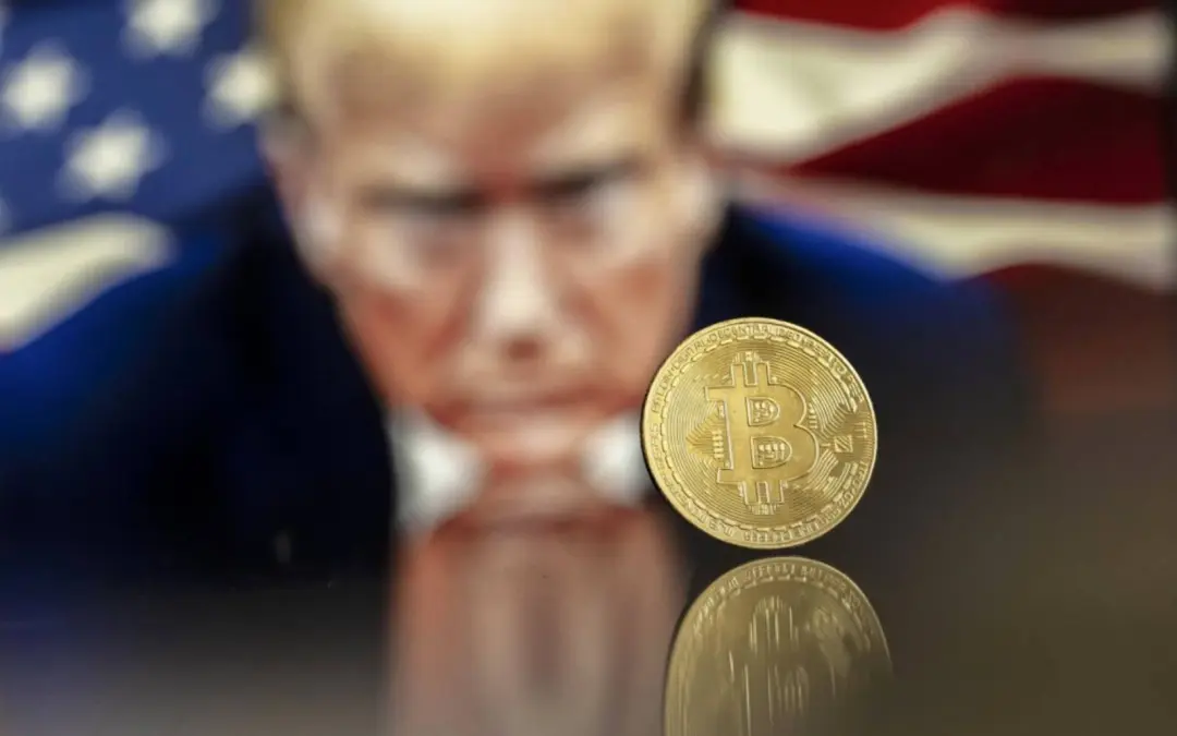 Trump Bitcoin theme